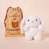 Hot Sale Cartoon Pocket Pets Plush Toys Stuffed Duck Panda Mouse Piggy Fox Otter Doll Mini Desktop Mini Animals Pretty Gift