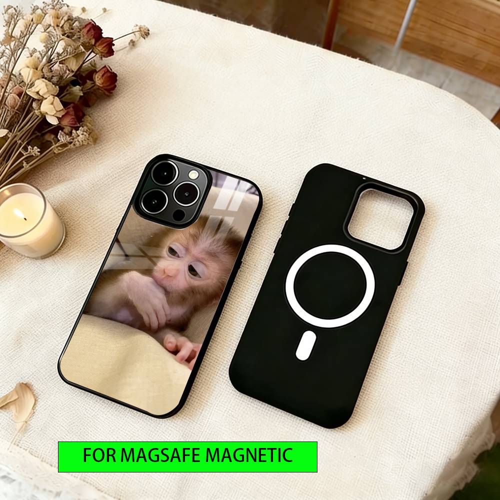 little monkey  Phone Case For iPhone17,16,15,14,13,12,11 Plus,Pro Magnetic For Magsafe Wireless Charging