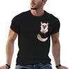 Pocket Cute Ragdoll Kitten TShirt Large Size Short Sleeve TShirt