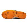 Nike Dunk Low Year Of The Tiger 2022 GS Sneakers DQ5351-001