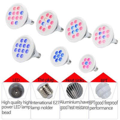 Full Spectrum LED Grow Light E27, 21W/36W for Indoor Plants