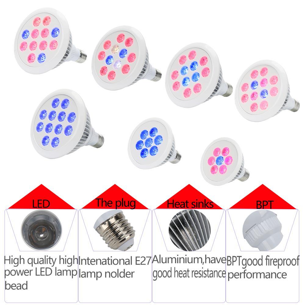 Full Spectrum LED Grow Light E27, 21W/36W for Indoor Plants