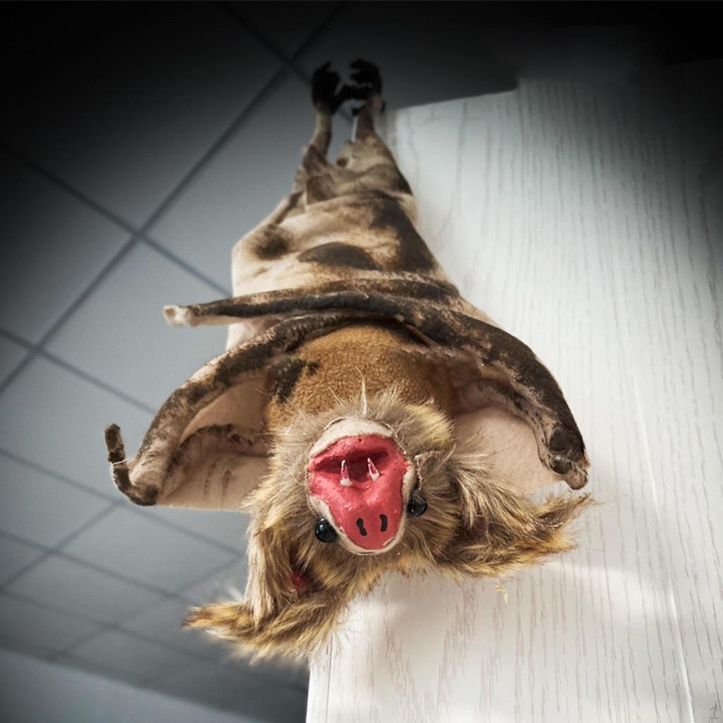 Halloween Wiszące 3D Straszne Rekwizyty Wszechstronna Dekoracja Horroru Latająca Upiorna dla