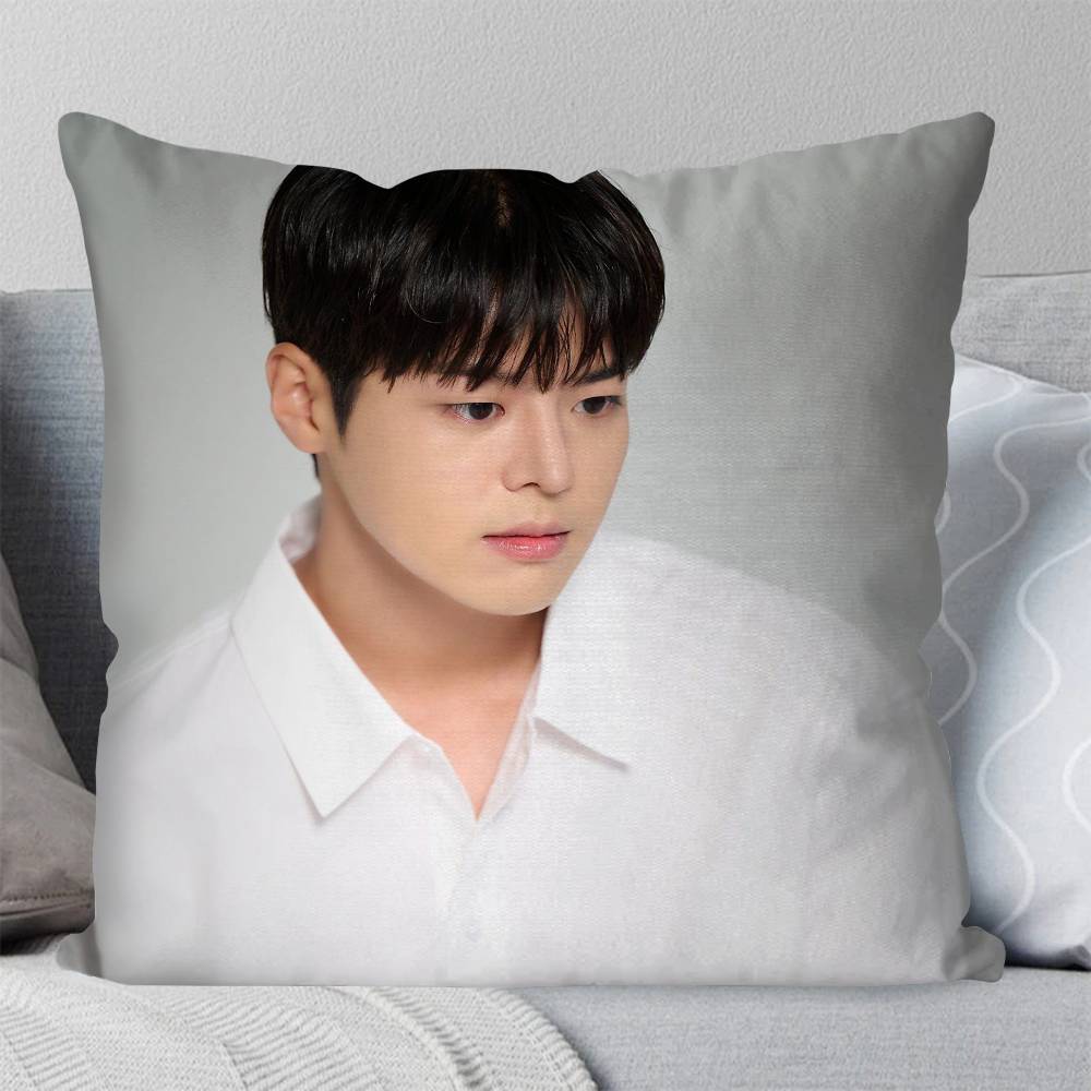 Korean Celebrity RRyeo Un Pillow Case Fashion Square Pillowcase Bedroom Sofa Room Ins Decoration Leisure