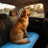 Alfombrilla y Cama Refrigerante de Verano para Mascotas 2025 Mejoradas Tejido Absorbente de Sudor Disponible en 5 Tamaños para Mascotas Pequeñas, Medianas y Grandes