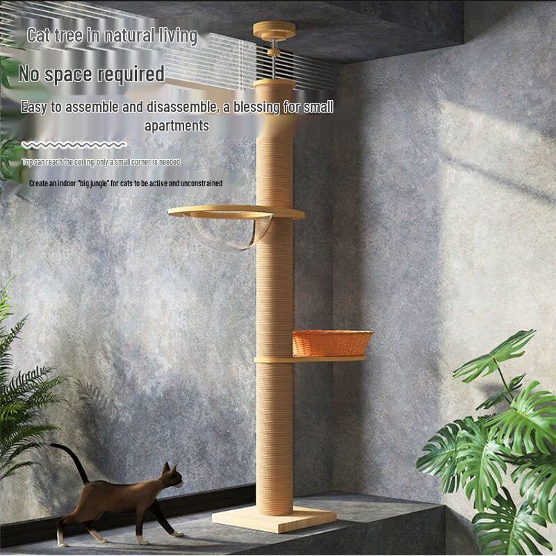 Aomengming Cat Climbing Tree with Observation Tower