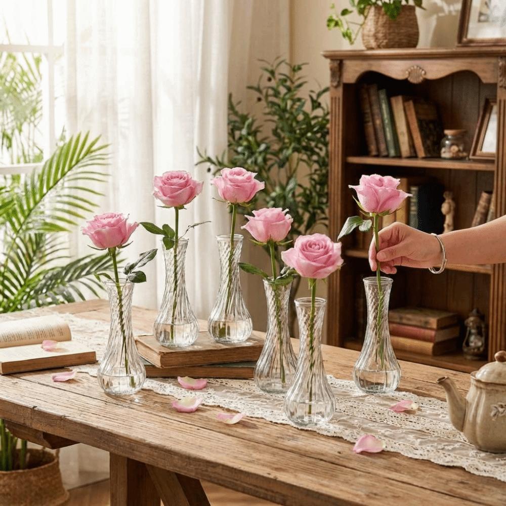 6PCS Vintage Clear Flower Vases Transparent Flower Holder Water Culture Vase  Desktop Adornment