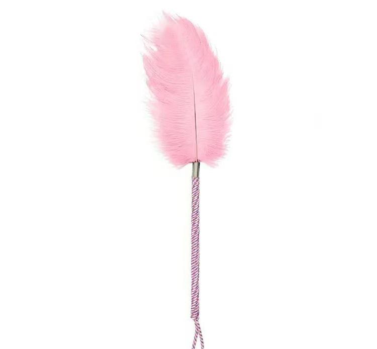 Unisex Feather Stick Adult Toy - Discreet Alternative