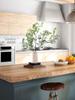 Artificial Plant Branch Silk Cloth and Plastic Multifunctional Realistic Fake Greenery Stem for Living Room