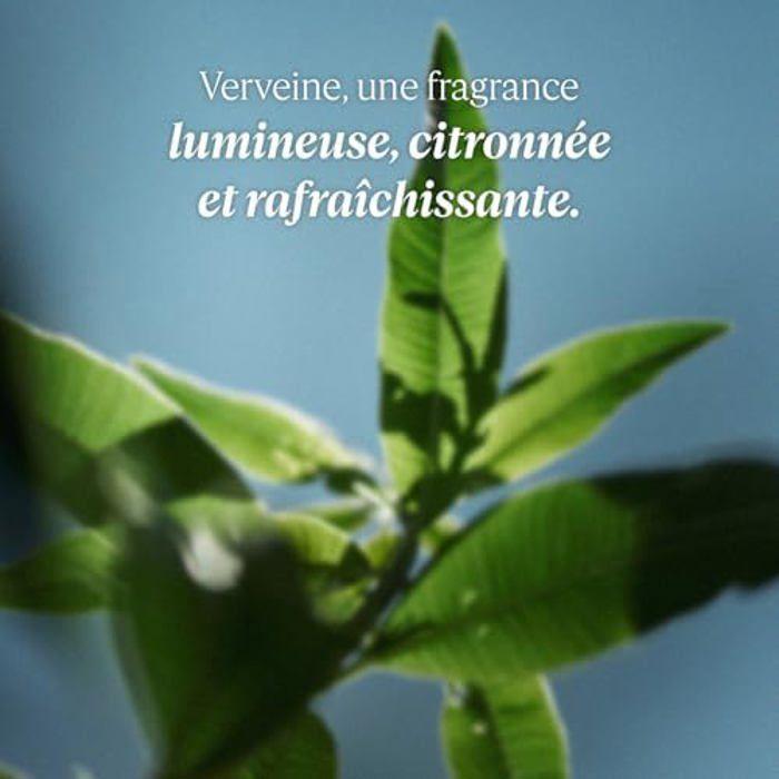 Gel Douche - L'OCCITANE - Verveine Agrumes - 250 ml - Parfum Citronné - Fraîcheur