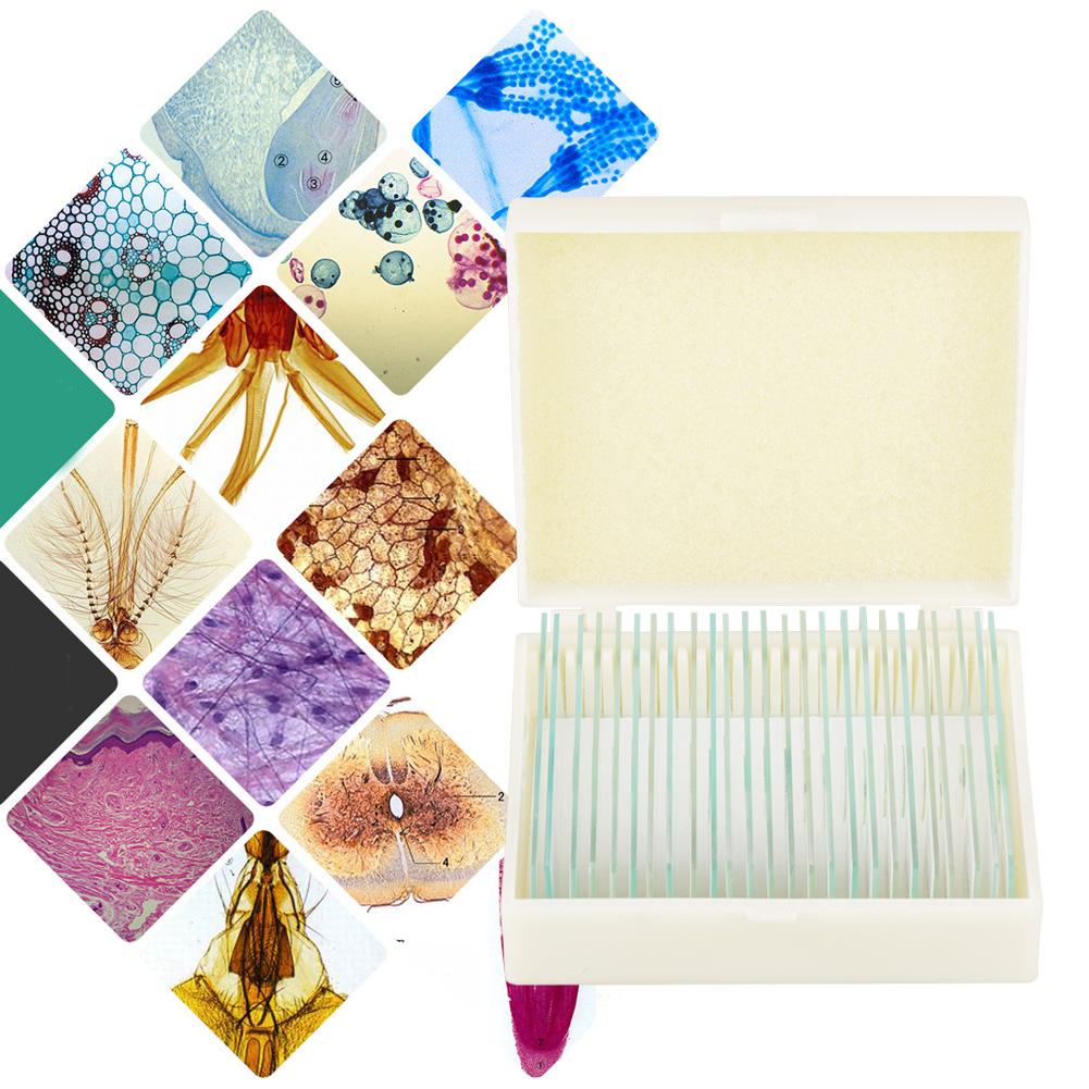 25 Stück Biologie Glas Präparierte Mikroskop-Objektträger Laborproben Mit Box