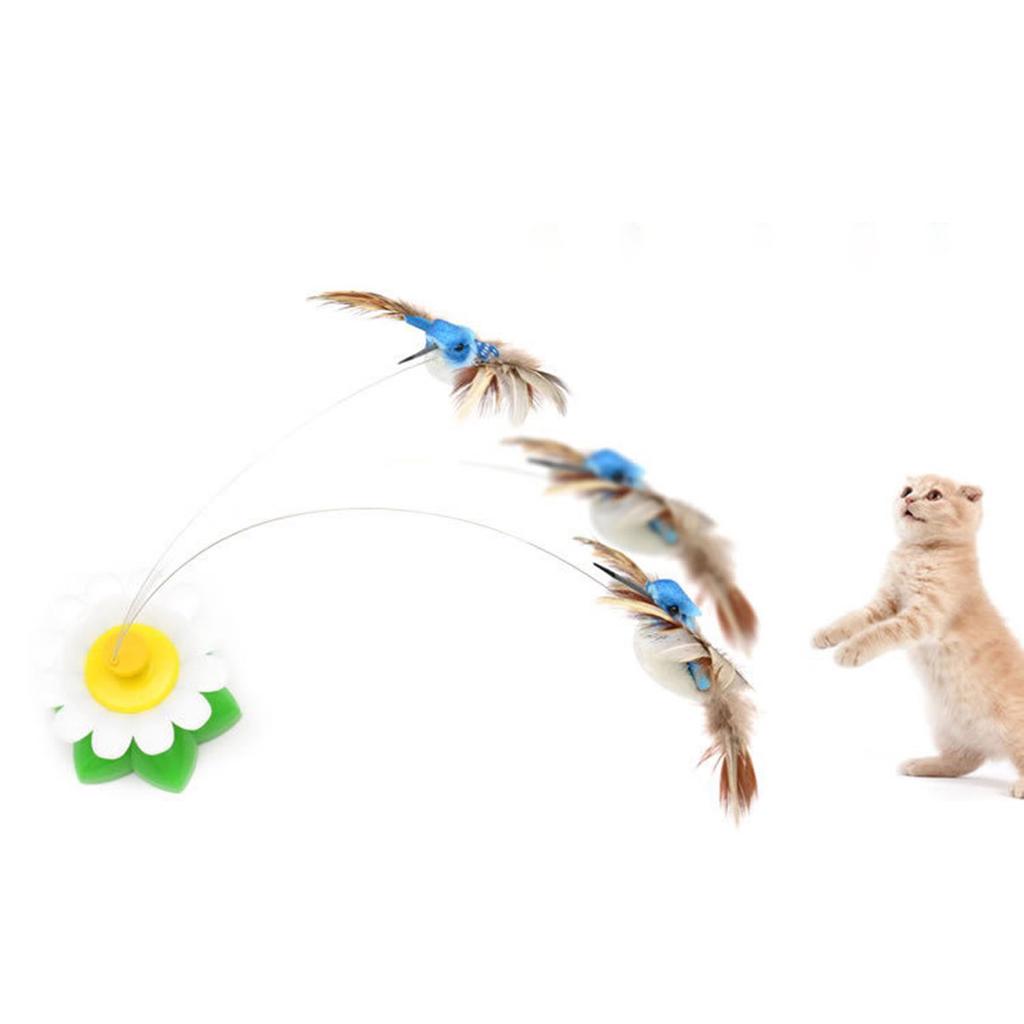 hovering bird cat toy