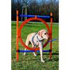 TRIXIE Cerceau D'agilité Pour Chiens 115 X 3cm Plastique