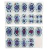 Plant & Animal Cell Models for Middle School Biology: Mitosis & Meiosis Teaching Aids
