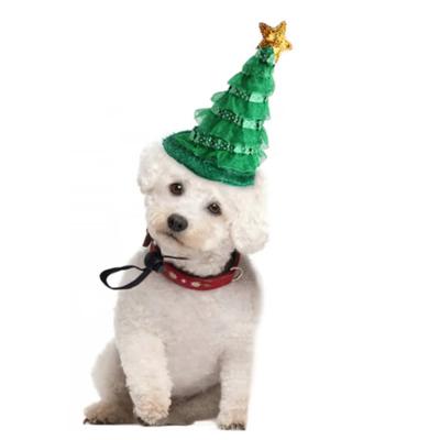 Kočky – Oblečení pro kočky