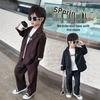 2025 Boys' Sparkling Silver Casual Suit Set