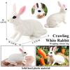 Oenux Lovely Farm Rabbit Bunny Model Action Figure Figurine Wild Desert Cottontail Hare Cute PVC Decoration Education Kid Toy