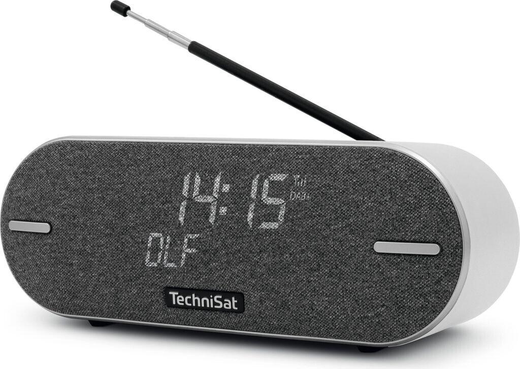 Портативное радио TechniSat DigitRadio BT 2 lichtgrau