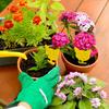 10pcs/set Home Garden Insect Lure Board, Yellow Sticky Insect Sticker, Tool For Eliminating Small Flying Insects And Pests In Flowers