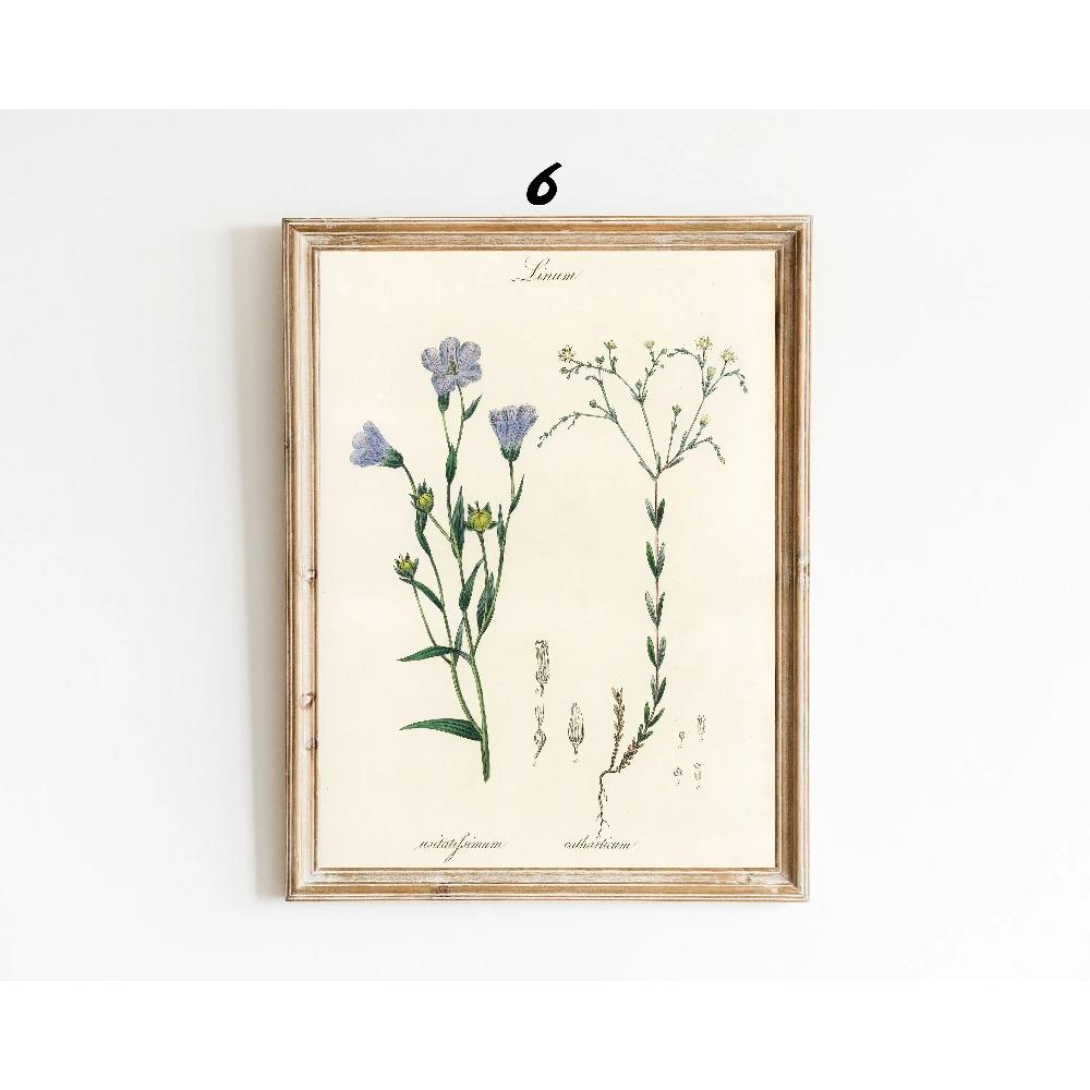 Botanical Vintage Prints Painitng Decoration Botanical Fern Wall Art Posters Modern Flower Wall Art Gift Print Home Room Decor