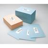 Kokuyo KPC-E124-100N Printer Dual Use Label Stickers, 24 Sides, 100 Sheets