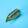 Transparent Aquarium Betta Fish Tunnel With Leaves Pad Betta Fish Tank Decorations