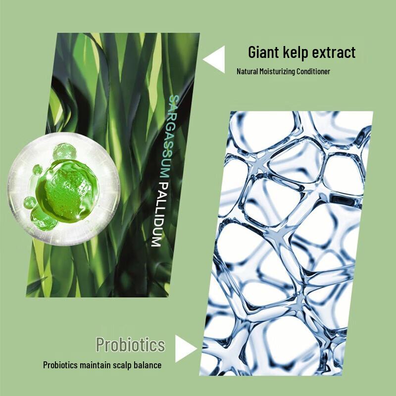 Baitisi Seaweed Probiotic Anti-Dandruff Shampoo