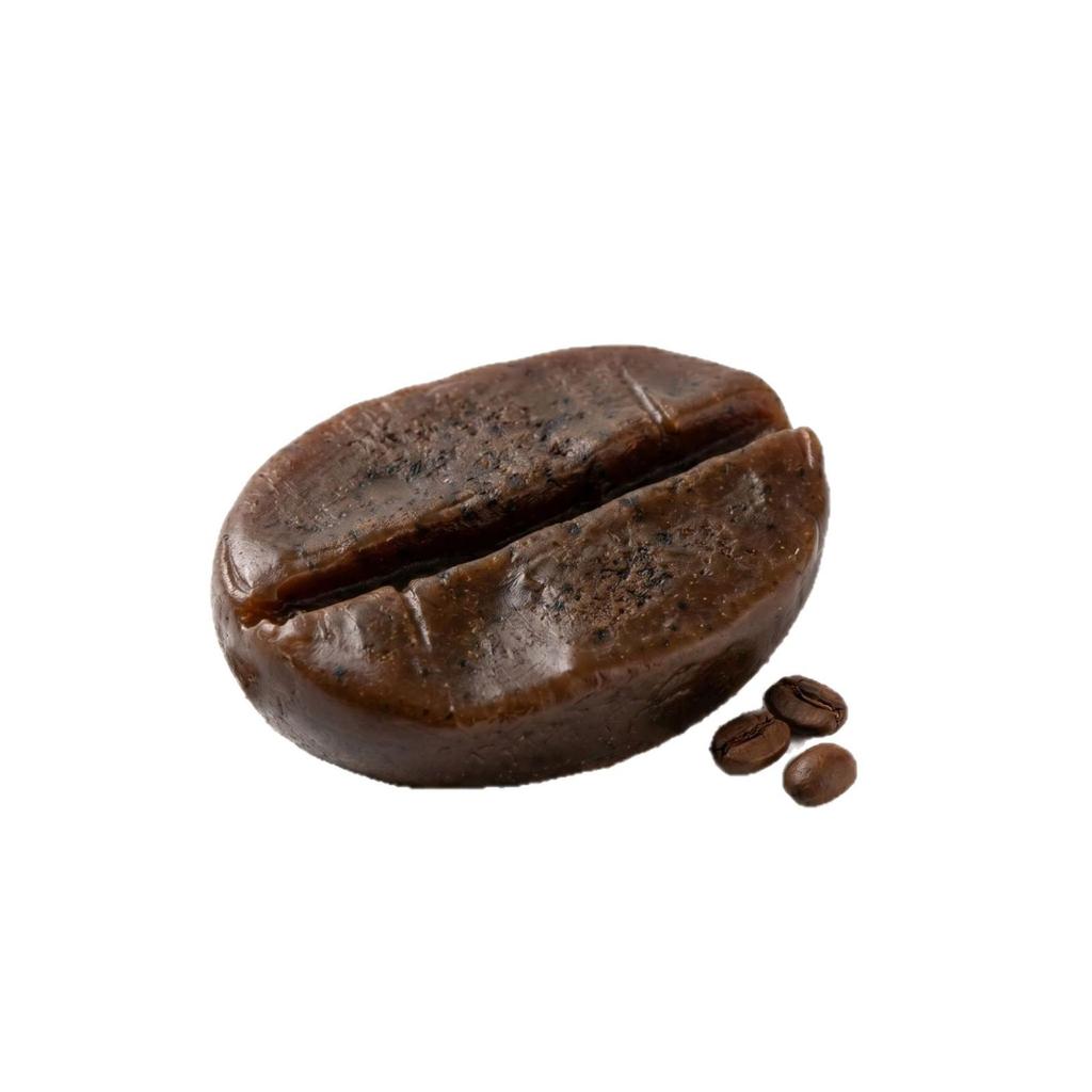 Children's DIY Coffee Bean & Fruit Soap with Essential Oil for Bath & Face Wash