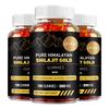 Gommose Pure Shiraji dell'Himalaya, 3000 mg per porzione, ricche di oligoelementi, biologiche, adatte sia per uomini che per donne.