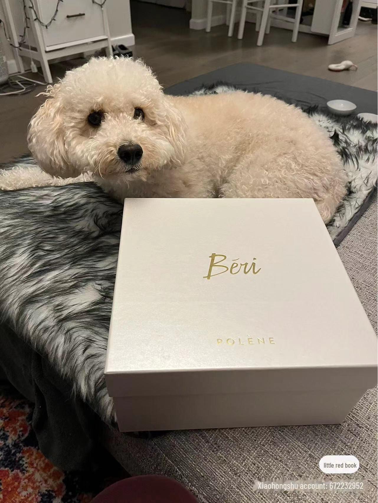 

2024 French Niche однотонная сумка через плечо - европейская и американская модная сумка с узором личи Original Logo: 23*10*21