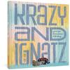 The George Herriman Library Krazy Amp Ignatz 19221924 by George Herriman Hardback Book 9781683964773