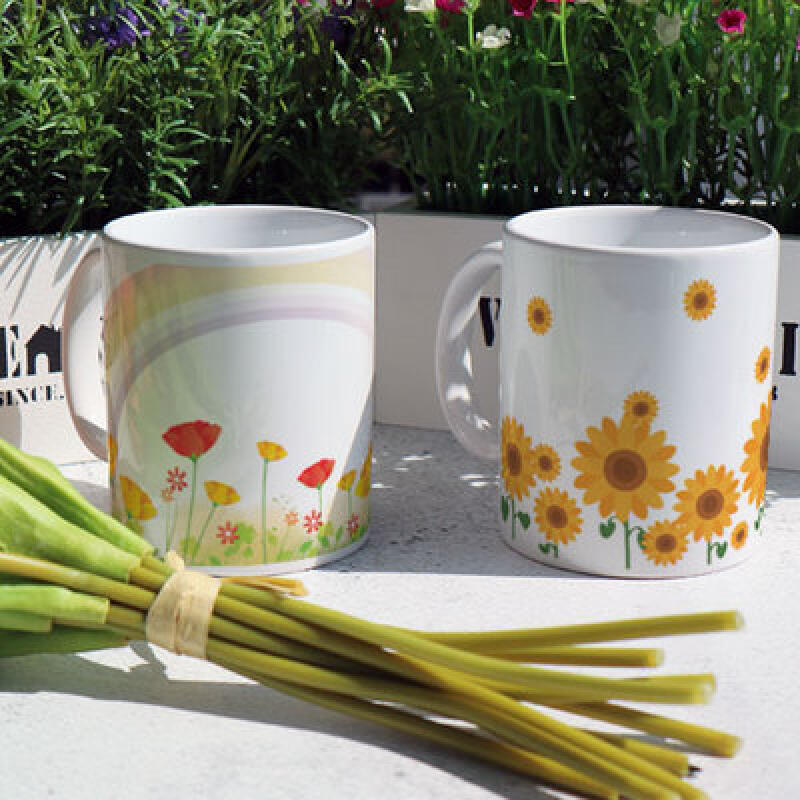 pa358-Design Mug 2p-Spring Flower Field
