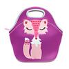Childrens Insulated Lunch Bag With Waterproof Material For Outdoor Picnics And School Use