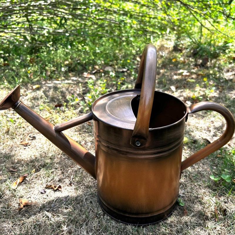 4L Premium Dual-Use Watering Can for Flowers (European & American Style)