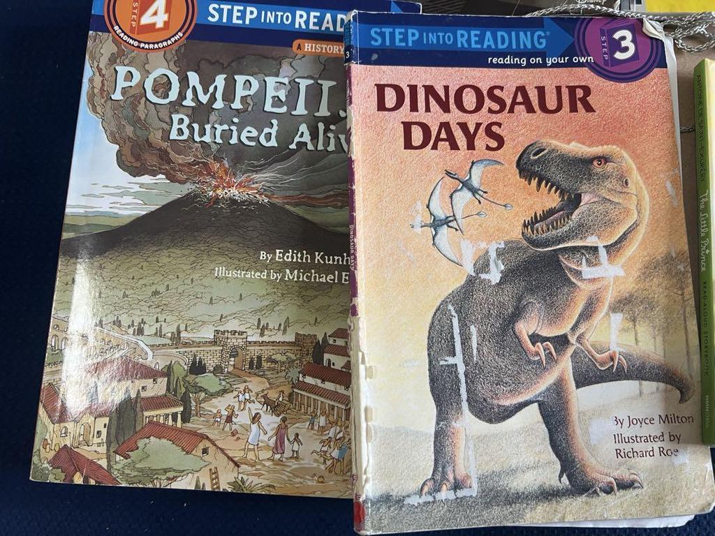 [USED] Final price reduction, immediate delivery, EnglisBooks English picture book set of 8 books