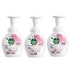 Dettol Floral Foam Antibacterial Hand Wash (3 X 250ml)