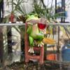 Artistic Resin Frogs On Ladder Wall Hanging Ornaments Weather Resistant Balcony Terraces Decoration