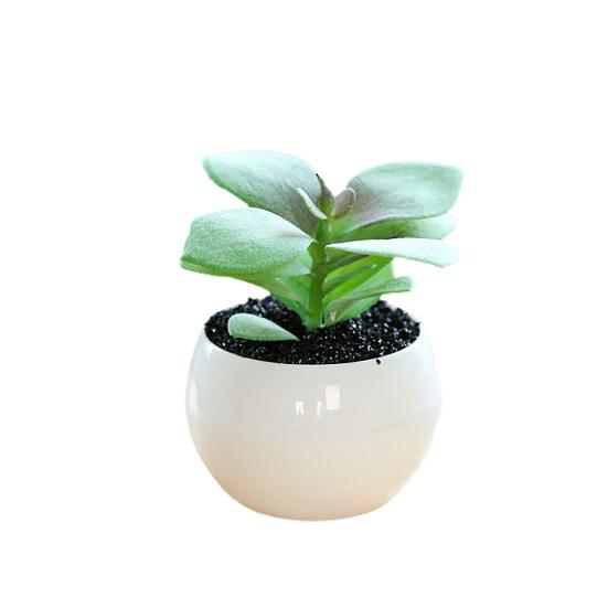 Fałszywe rośliny doniczkowe Odporne na warunki pogodowe rekwizyty fotograficzne Szerokie zastosowanie Doskonałe mini sukulenty Biurko Akcesoria domowe doniczkowe