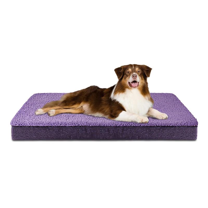 Handton Four Seasons Dog Mat