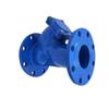 Ductile Iron Y-Type Flange Filter