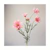 Artificial Gesang Flower Single Branch 4 Fork Queen Cosmos Fake Flower Silk Flower Bouquet Living Room Wedding Home Decoration