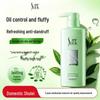 Sunsilk Oil Control Anti-Dandruff Volumizing Shampoo