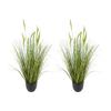 Artificial Grass Plant, 2 Pack 889mm Cattail Grass In Pot, Premium PVC Faux Fake Greenery Shrubs Plant for Indoor Outdoor House Home Garden Office
