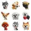 Cute And Cool Corgi Bulldog And Lion Dog Model Figures For Phone Cases And Decorations