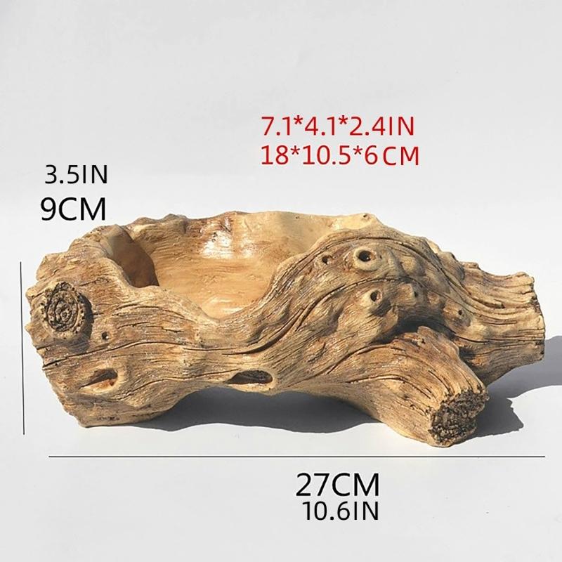 Jardinière vintage en ciment, motifs de racines d'arbres en résine pour plantes succulentes et bonsaïs, décoration de bureau, intérieur ou extérieur