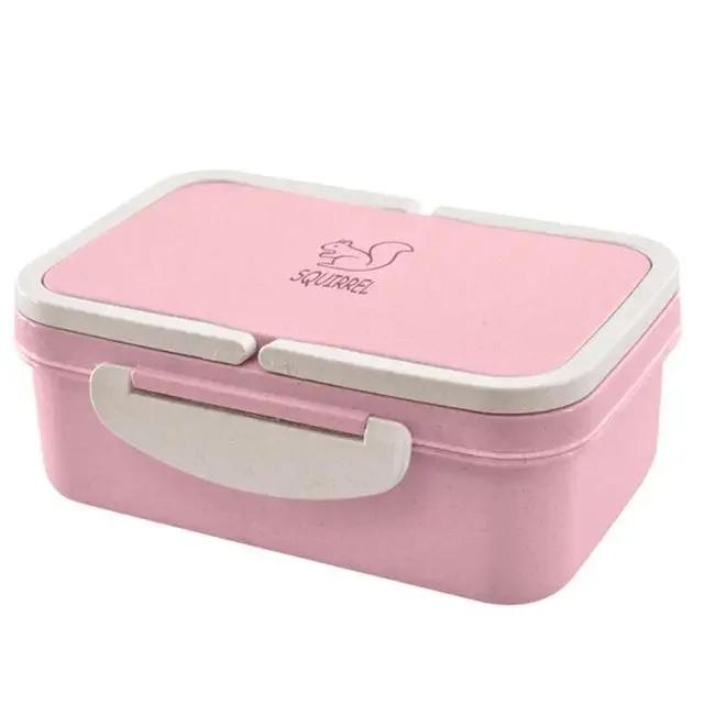 New Picnic, Camping, Student Lunch and Dinner Food Storage Container - Portable Wheat Straw Bento Lunch Boxes for Microwave