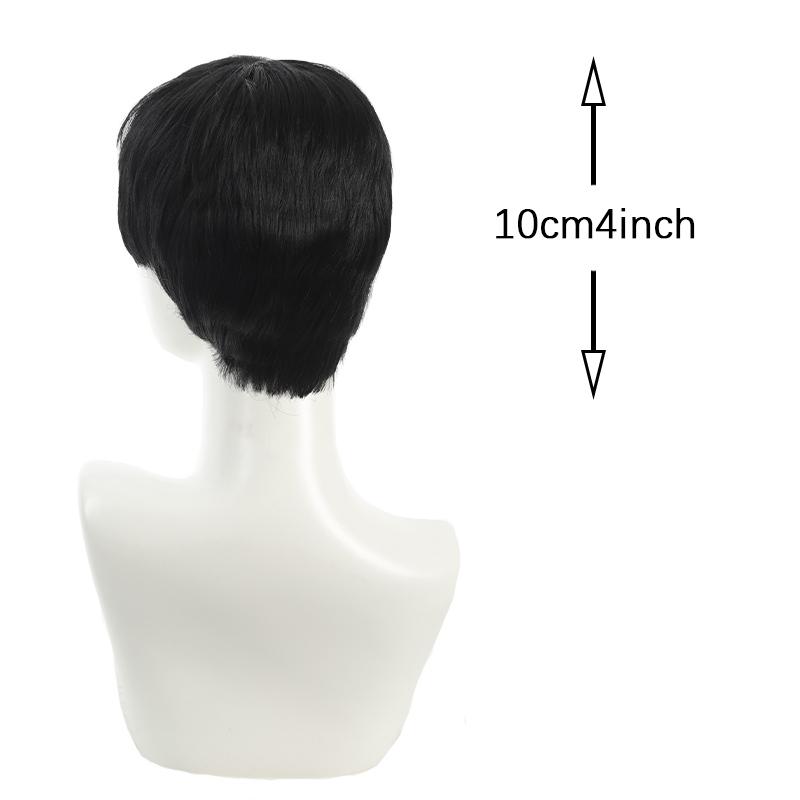 Parrucca sintetica nera corta e liscia da ragazzo con palpebra micro rotta, soffice e naturale, adatta per le riunioni quotidiane di Halloween.