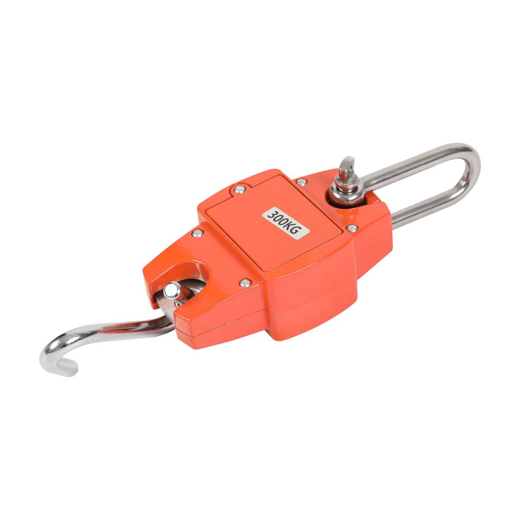 Portable 300kg Hanging Digital Crane for Commercial and Industrial Use HFS(R) Scale, Scale,