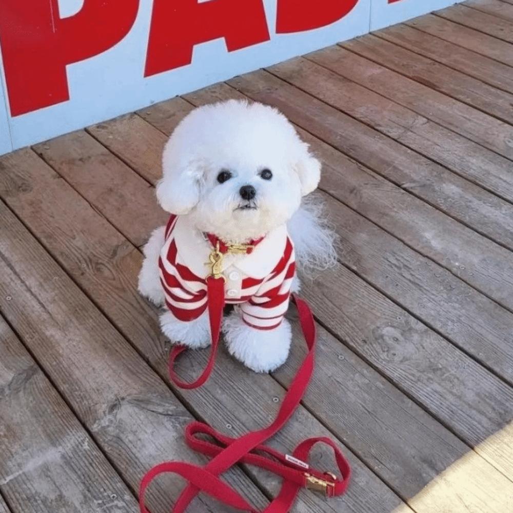 Breathable Dog Striped Shirt Collared Style Cat Vest Fashion Dog T Shirts for Puppy Dogs Cats