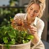 Metal Garden Stake Decorative Outdoor Lawn Yard Plant Holder with 3D Flower Design Rust Finish Suitable for Patio Balcony and Home Decoration
